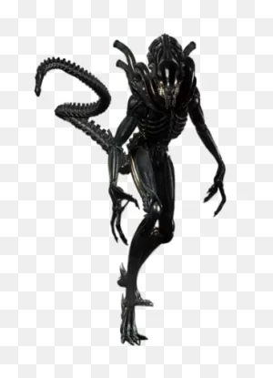 Xenomorph | Character Profile Wikia | ClipartFlare