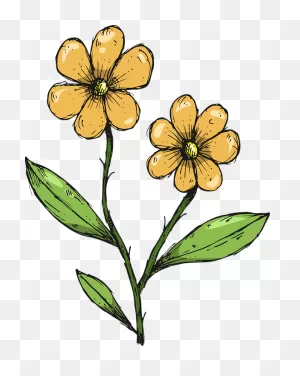 Flowers Yellow Drawing - Free Vector Graphic On ClipartFlare