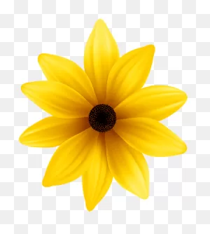 Yellow Flower Png Clip Art Image | Watercolor Flowers Tutorial ClipartFlare.com 