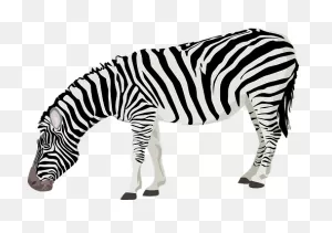 Over 60 Free Zebra Vectors - ClipartFlare