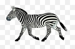 Zebra Clipart. Free Download Transparent .png | ClipartFlare