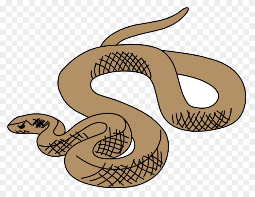 Snake Clipart Snake Clipart Fans - 