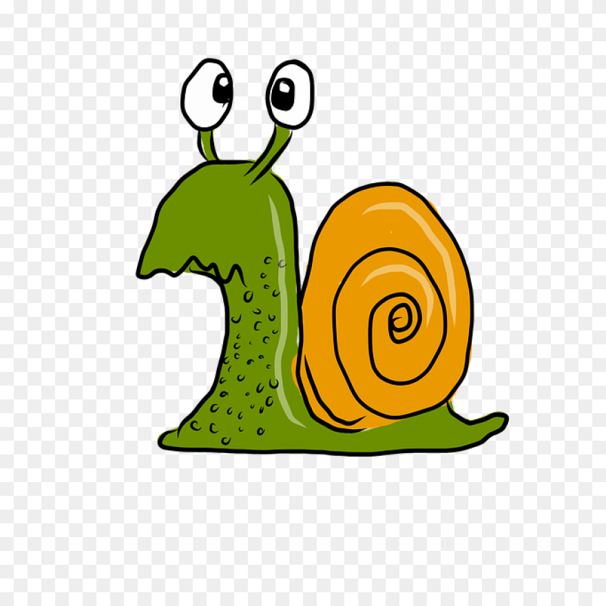 Clip Art Cartoon Snail Clipart Kid 