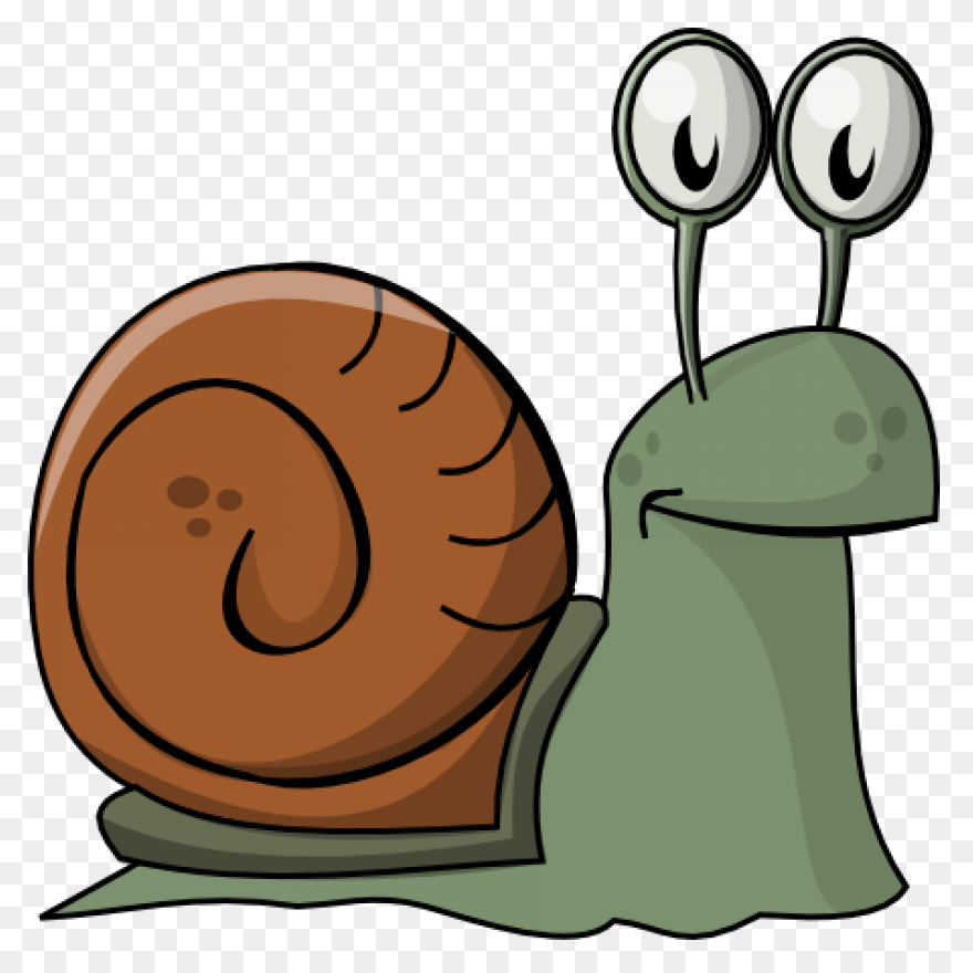 Download Snail Cartoon Black And Wh