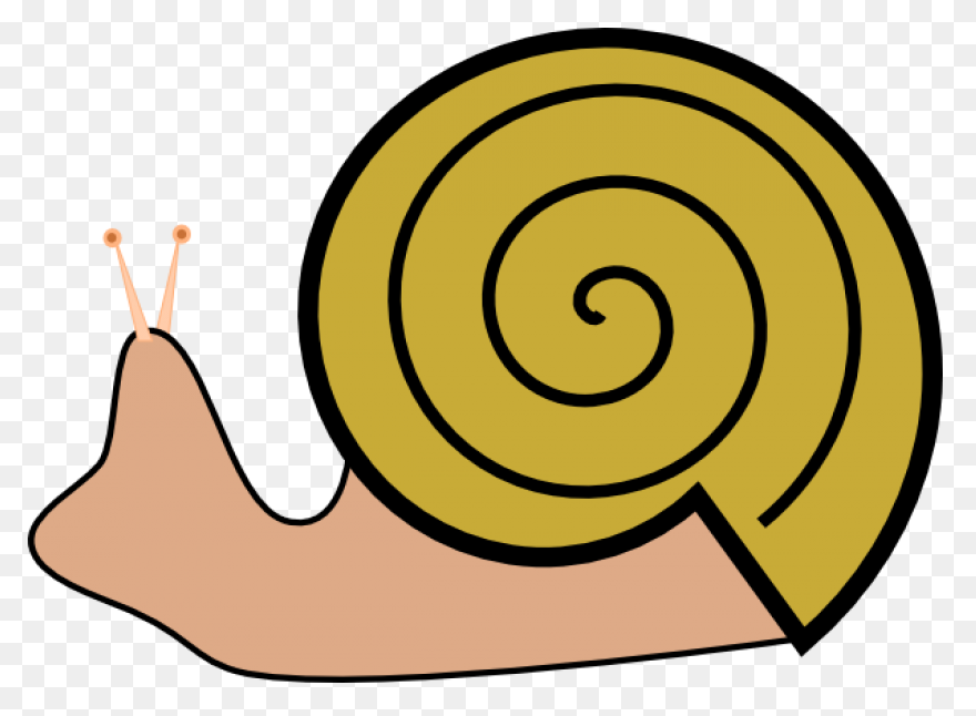 Sea Snail Clipart Free Clipart - Snail