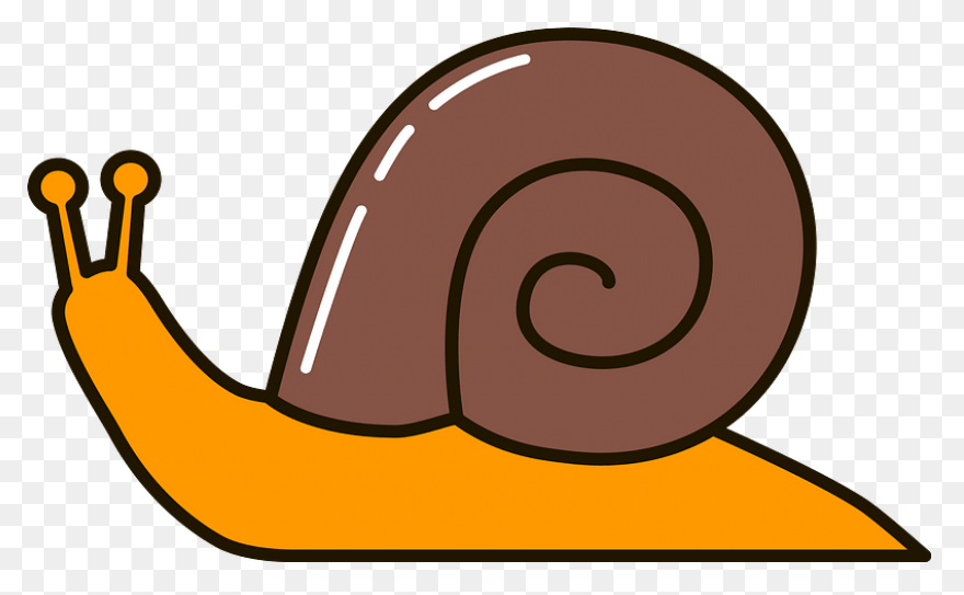 Clip Art Cartoon Snail Clipart Kid 