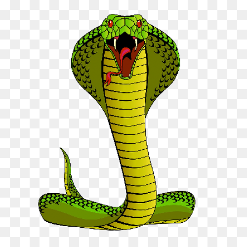 Head Snake Sand - Free Vector Graph