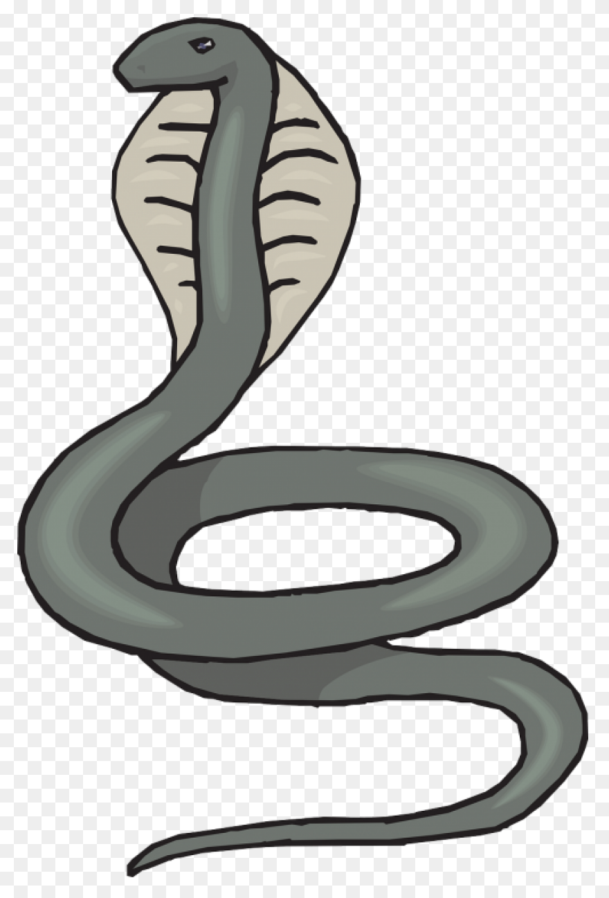 Head Snake Sand - Free Vector Graph