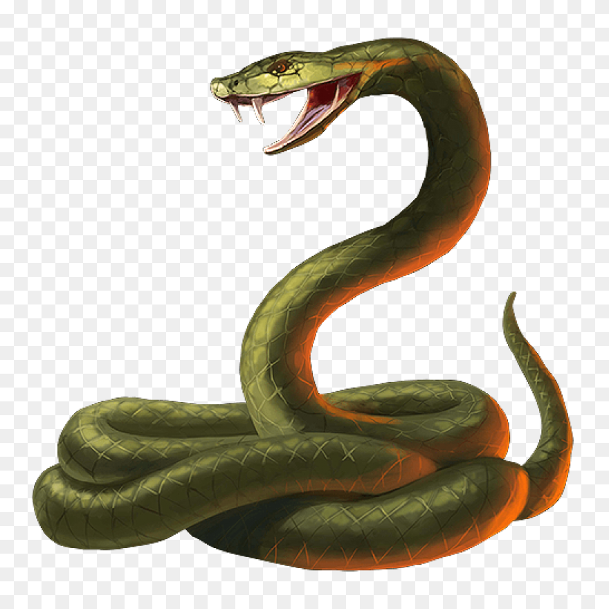 Head Snake Sand - Free Vector Graph