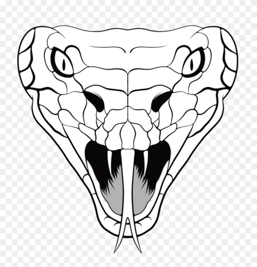 Head Snake Sand - Free Vector Graph