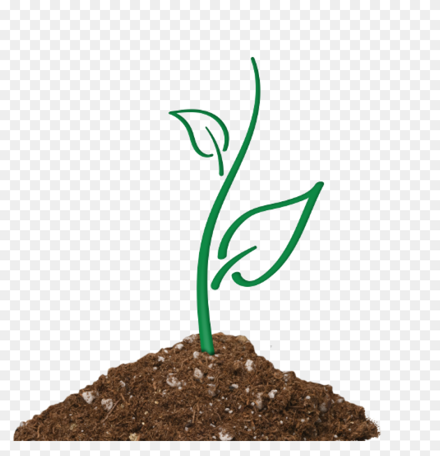 Soil Clipart Sapling Tree - Tree Sa