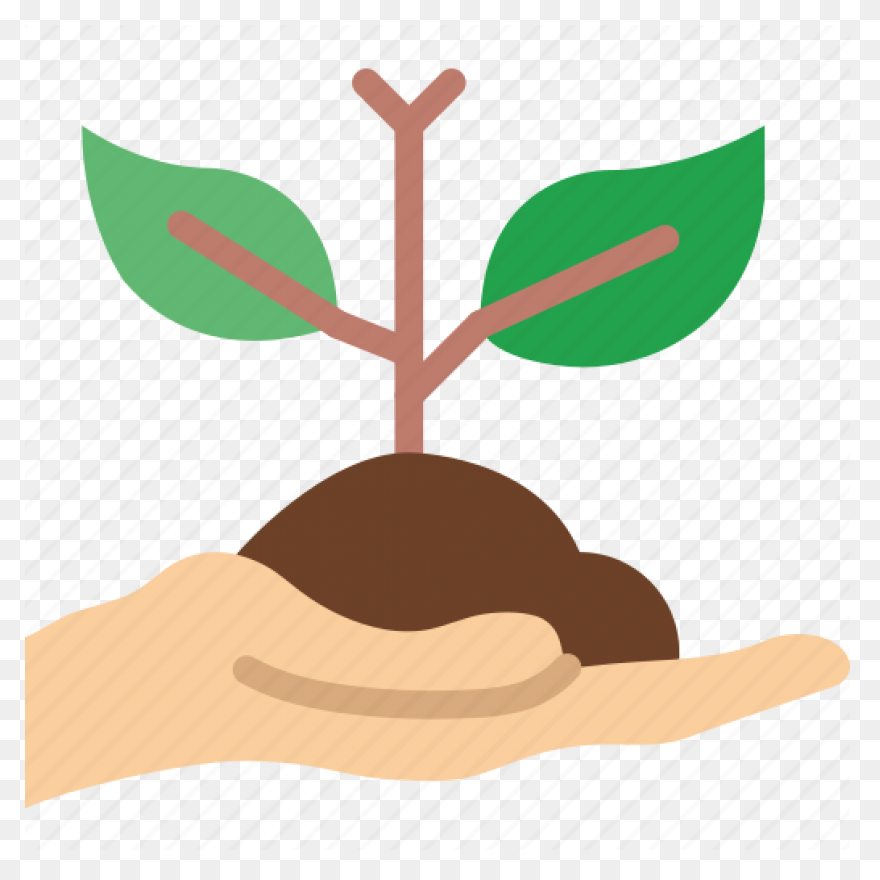 Soil Clipart Sapling Tree - Tree Sa