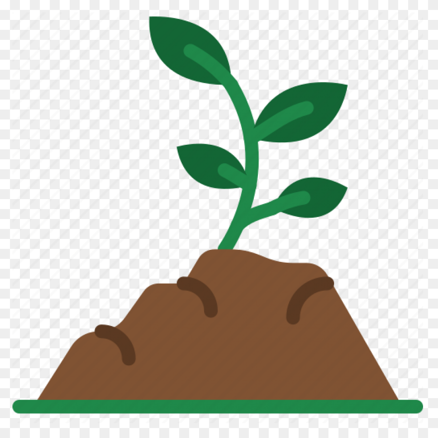 Soil Clipart Sapling Tree - Tree Sa