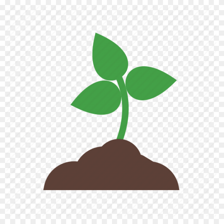 Soil Clipart Sapling Tree - Tree Sa