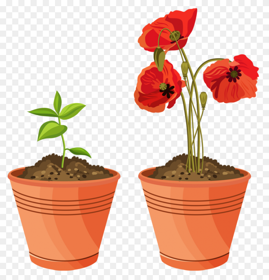 Soil Png | Png Play - Soil
