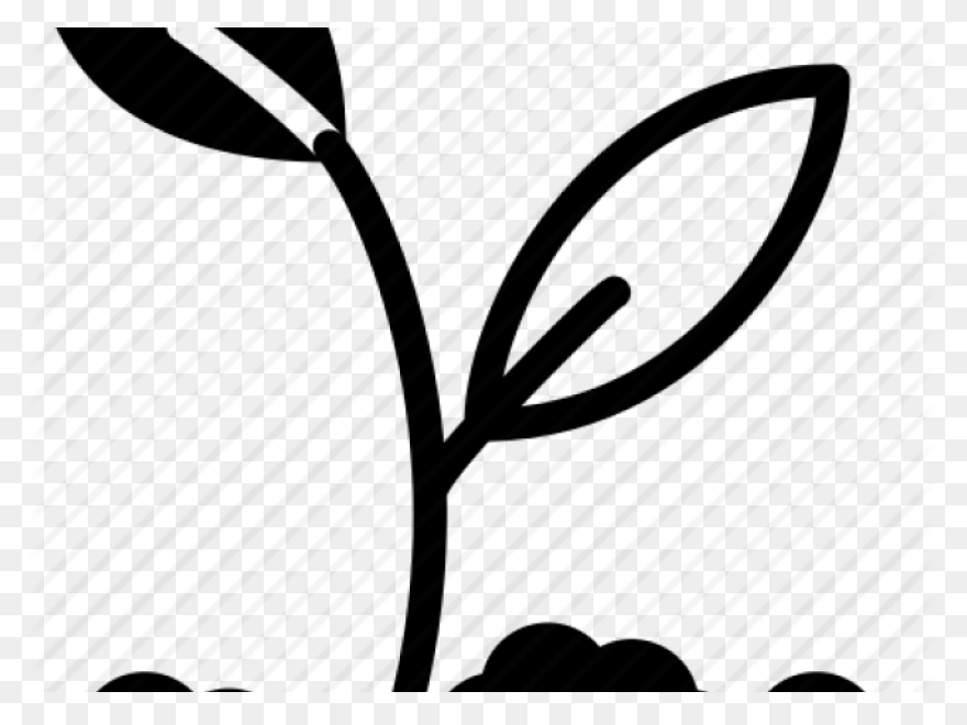 Soil Clipart Sapling Tree - Tree Sa