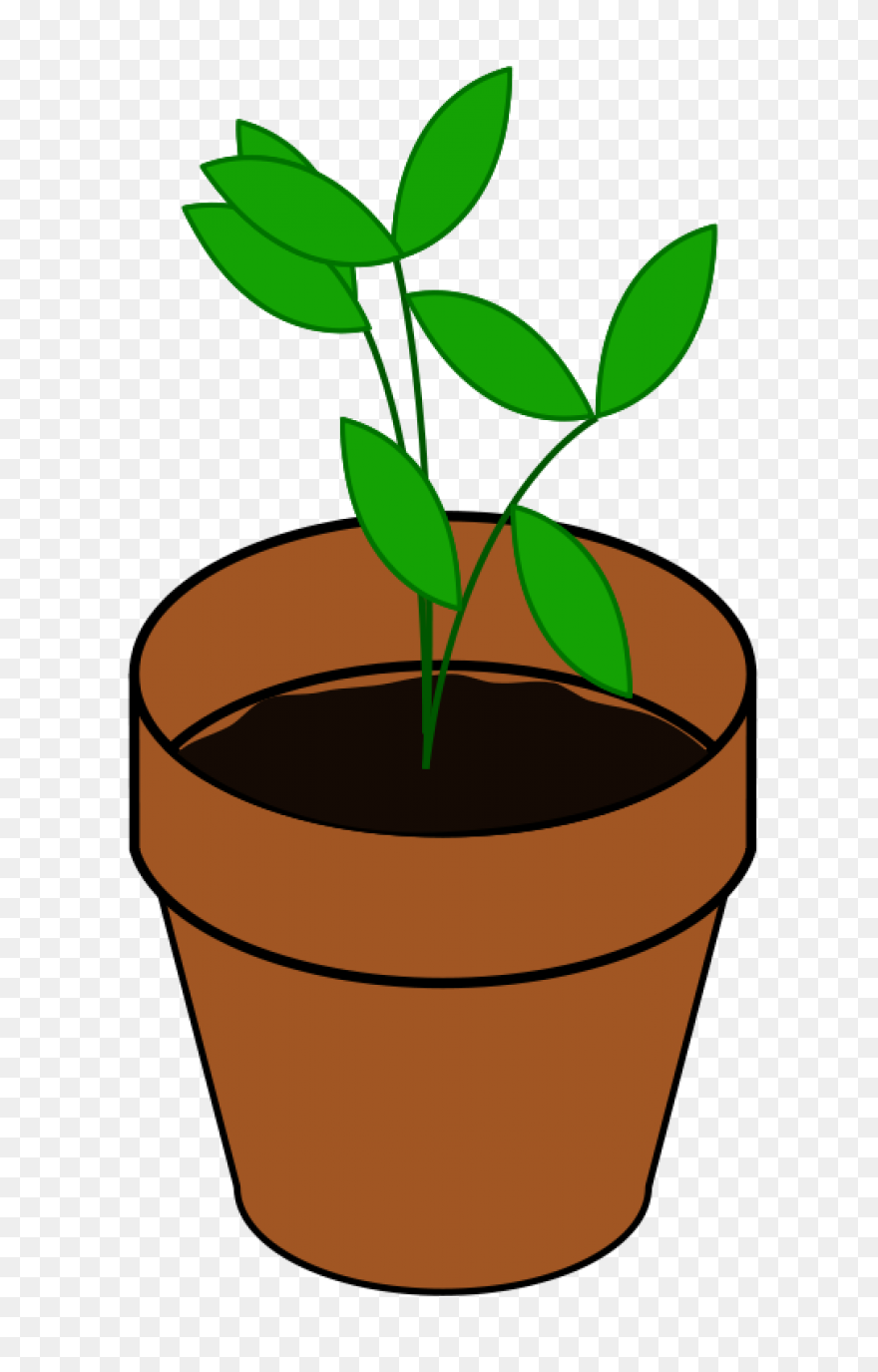 Soil Clipart Sapling Tree - Tree Sa