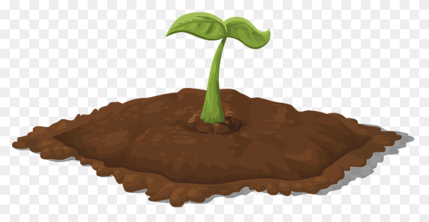 Soil Clipart Sapling Tree - Tree Sa