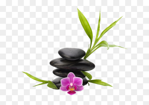 Day Spa Cliparts - Spa Day Clipart 