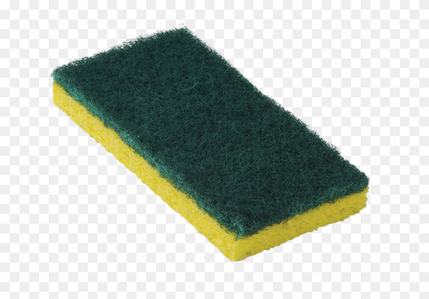 Sponge In Water Clip Art At Clipart