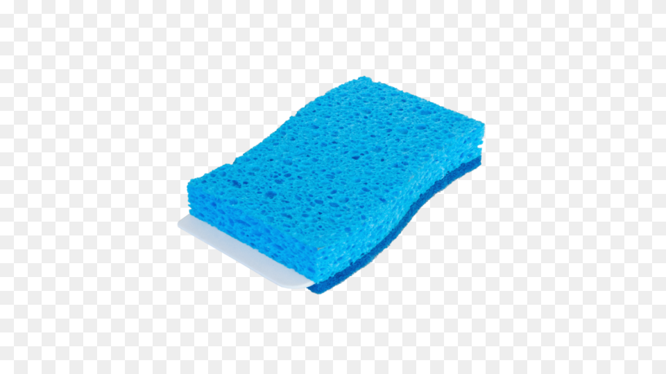 Sponge In Water Clip Art At Clipart