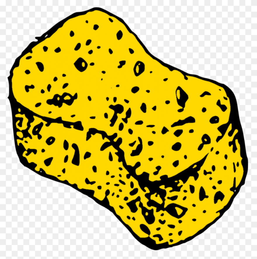 Sponge In Water Clip Art At Clipart
