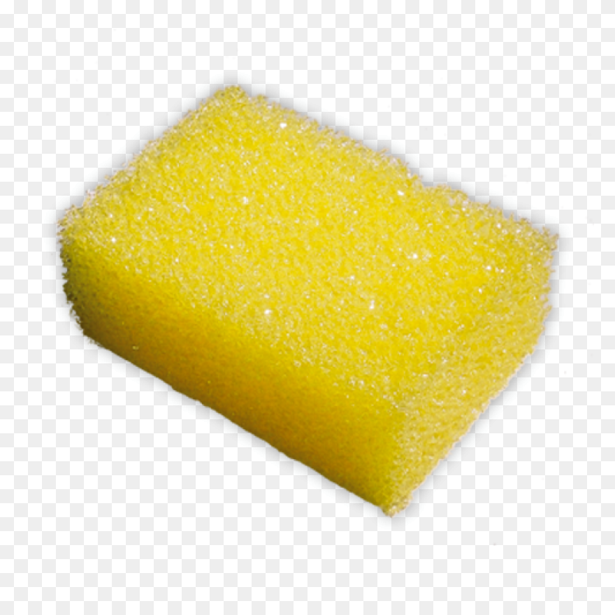 Sponge In Water Clip Art At Clipart