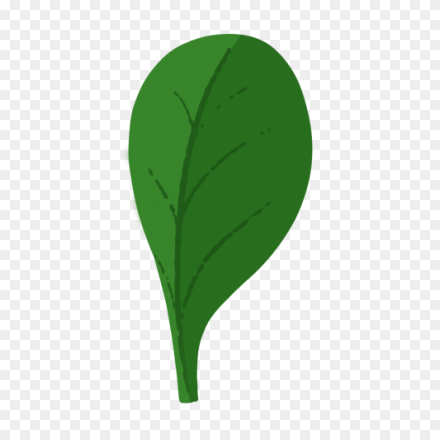 Spinach – Aroma Asian