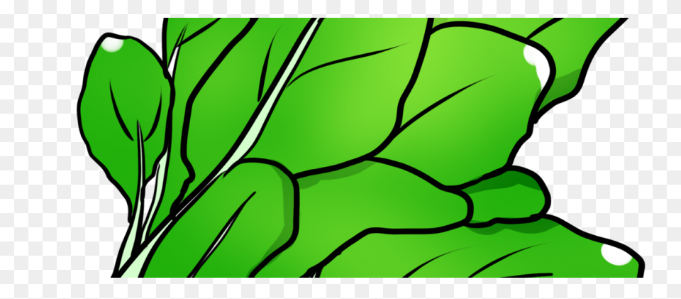 Spinach – Aroma Asian