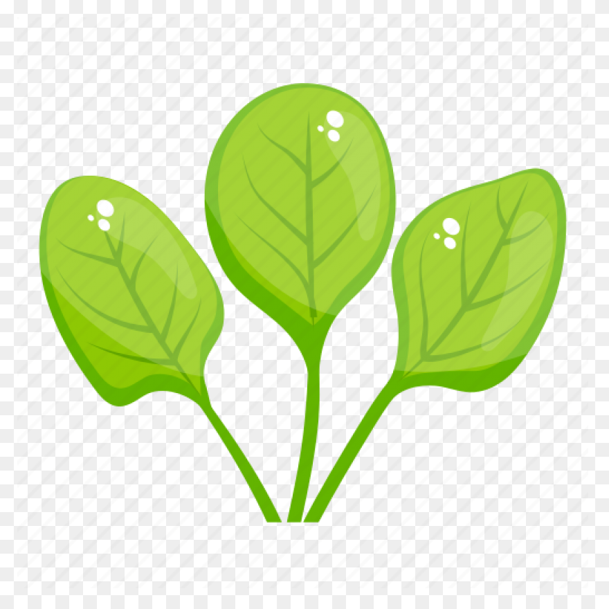 Spinach – Aroma Asian