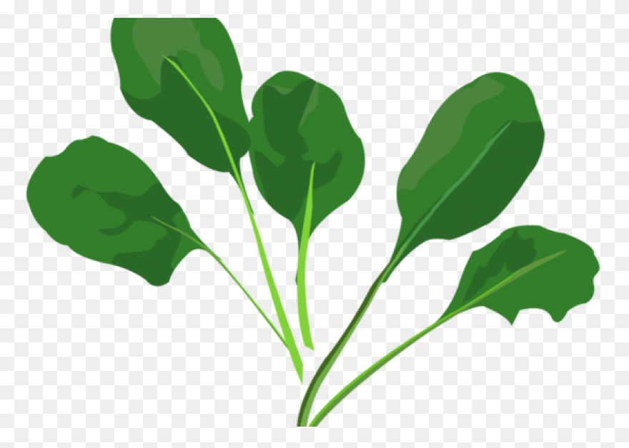 Spinach – Aroma Asian