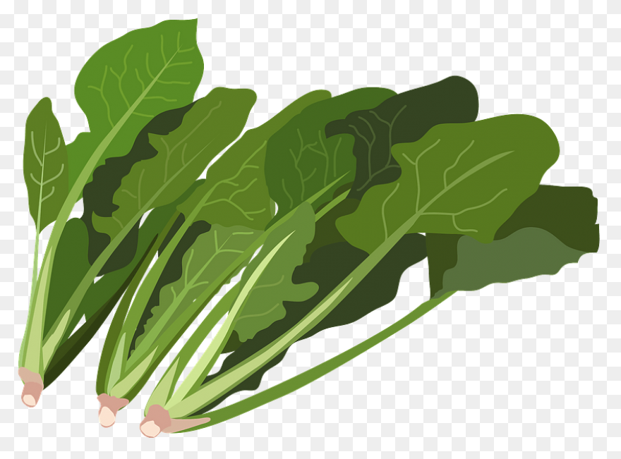 Spinach – Aroma Asian