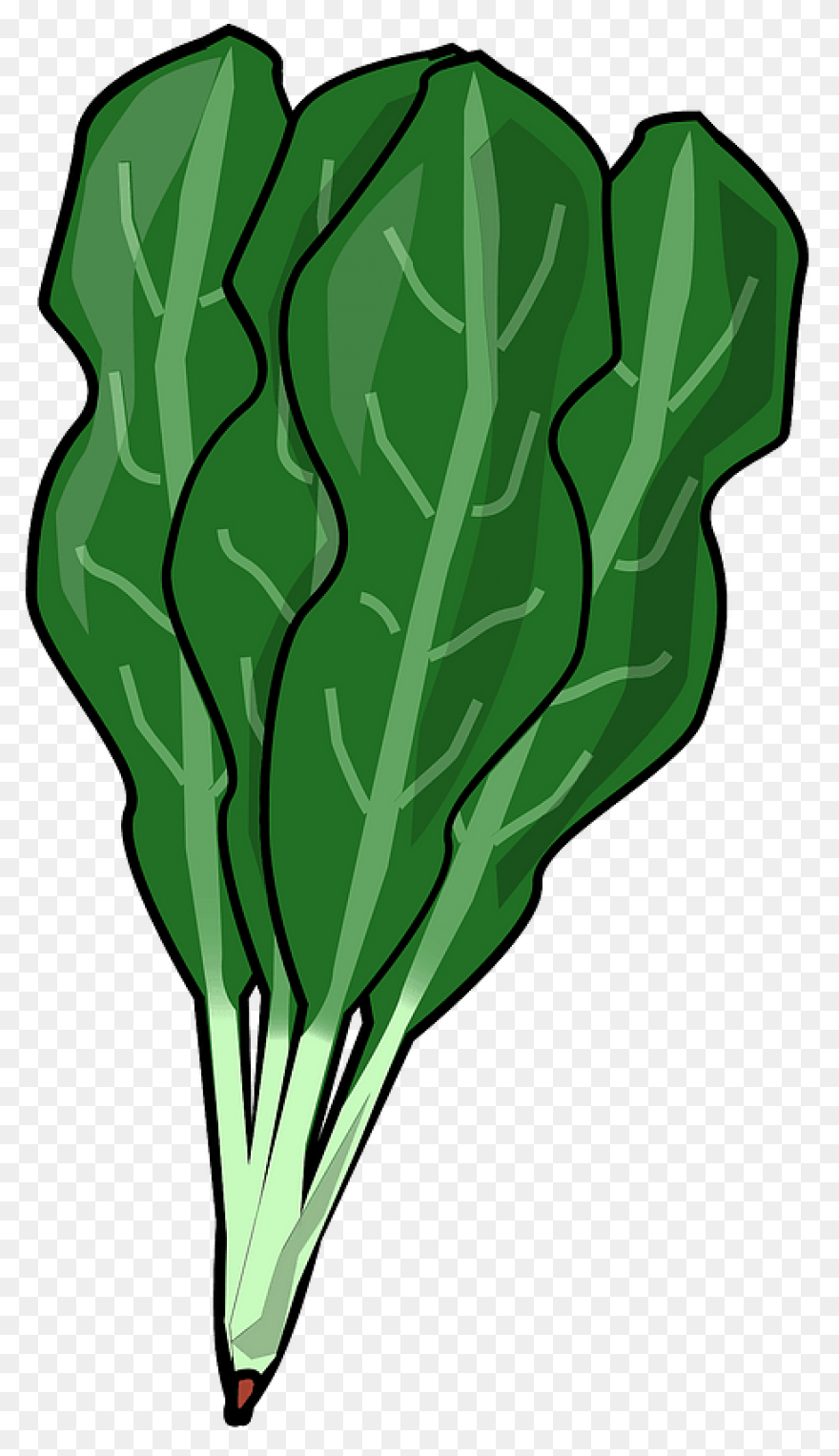 Spinach – Aroma Asian