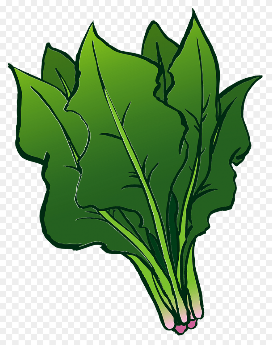 Spinach – Aroma Asian