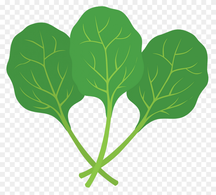 Spinach Clipart. Free Download .png - Spinach