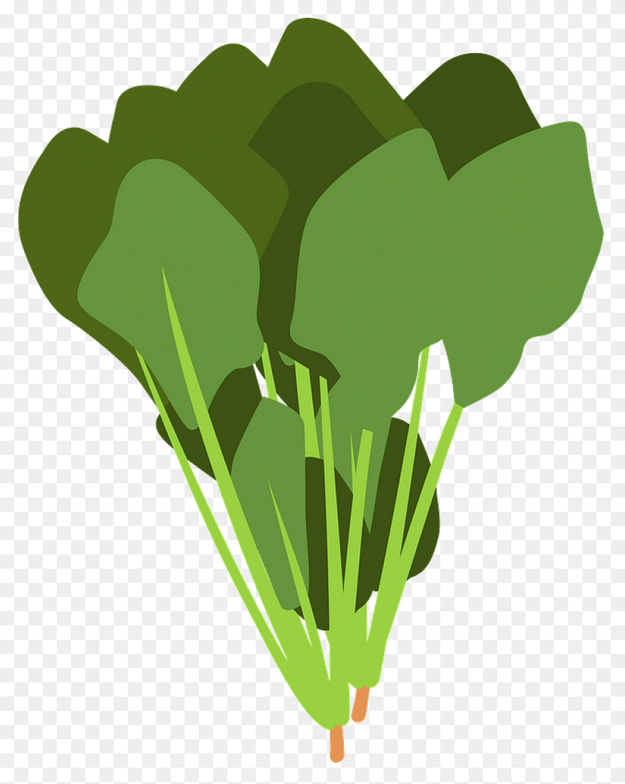 Spinach – Aroma Asian