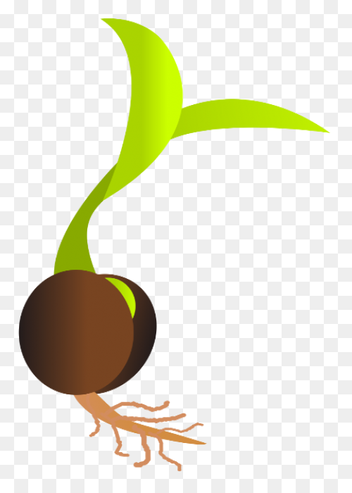 Clipart Library Plant Sprout Clipart - Sprout