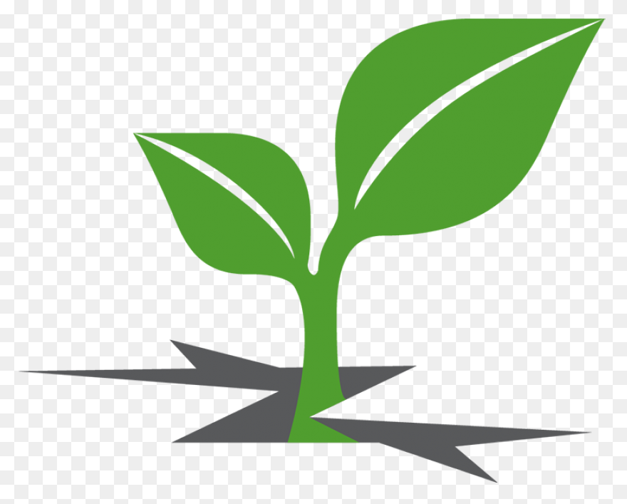 Clipart Transparent Library Plant S