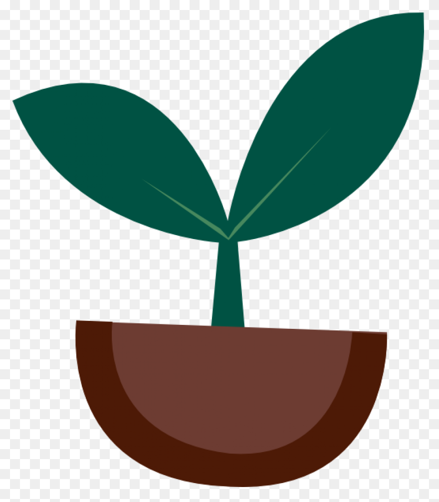 Clipart Transparent Library Plant S