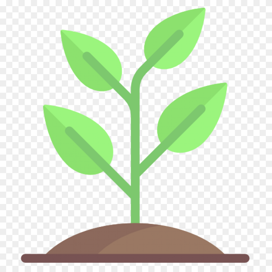 Clipart Transparent Library Plant S