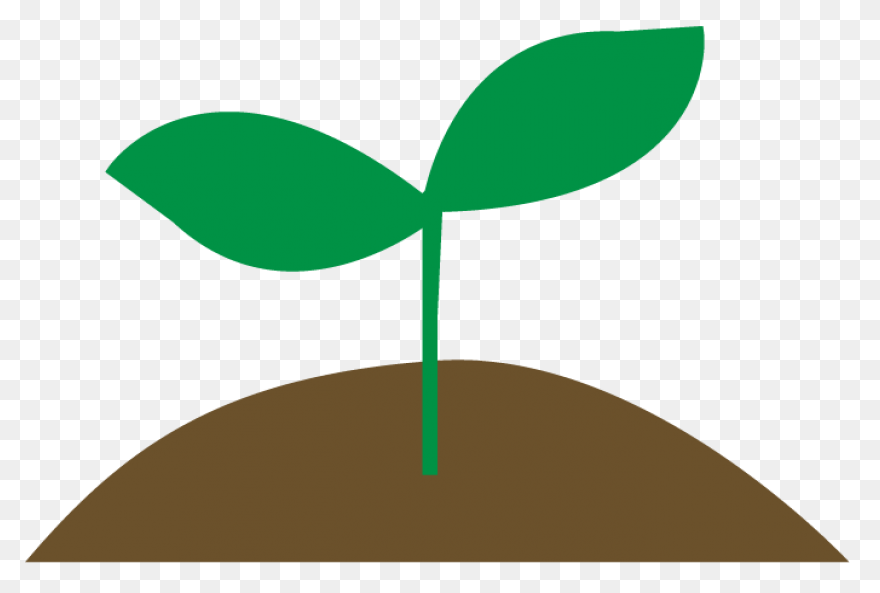 Clipart Transparent Library Plant S