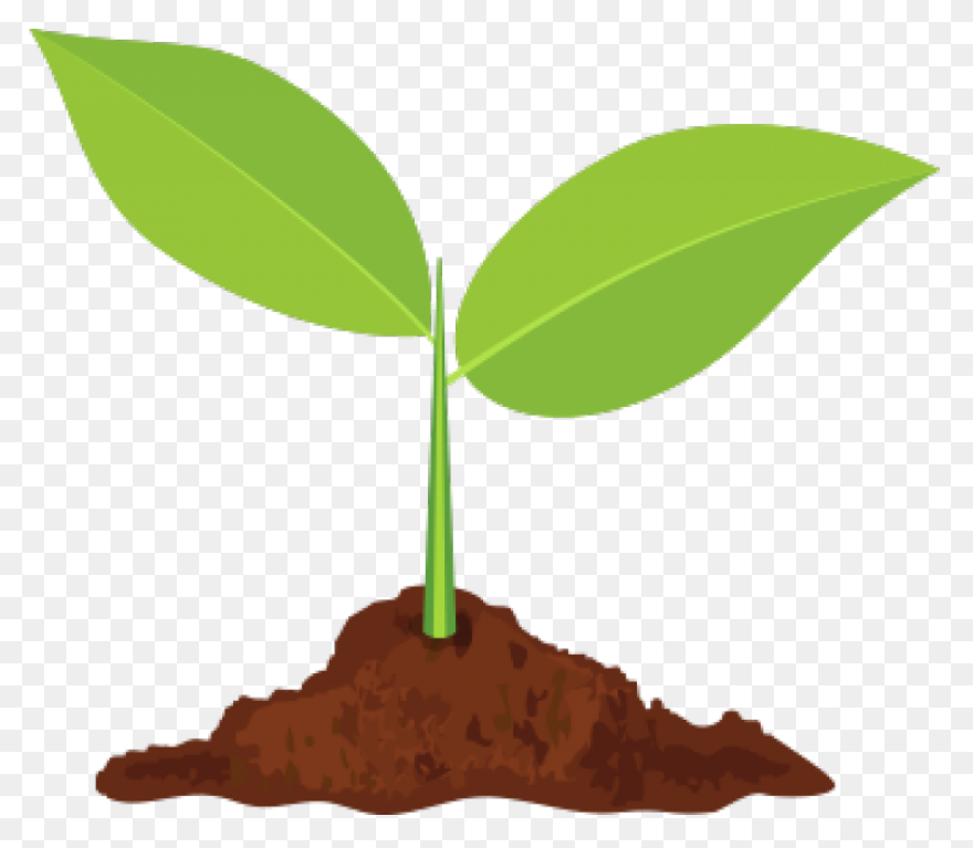 Clipart Transparent Library Plant S