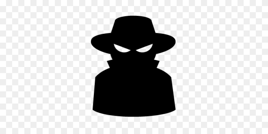 Application Sunglasses Package Spy 