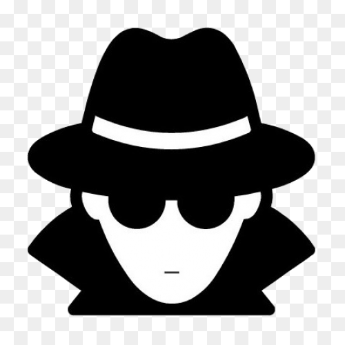 Application Sunglasses Package Spy 
