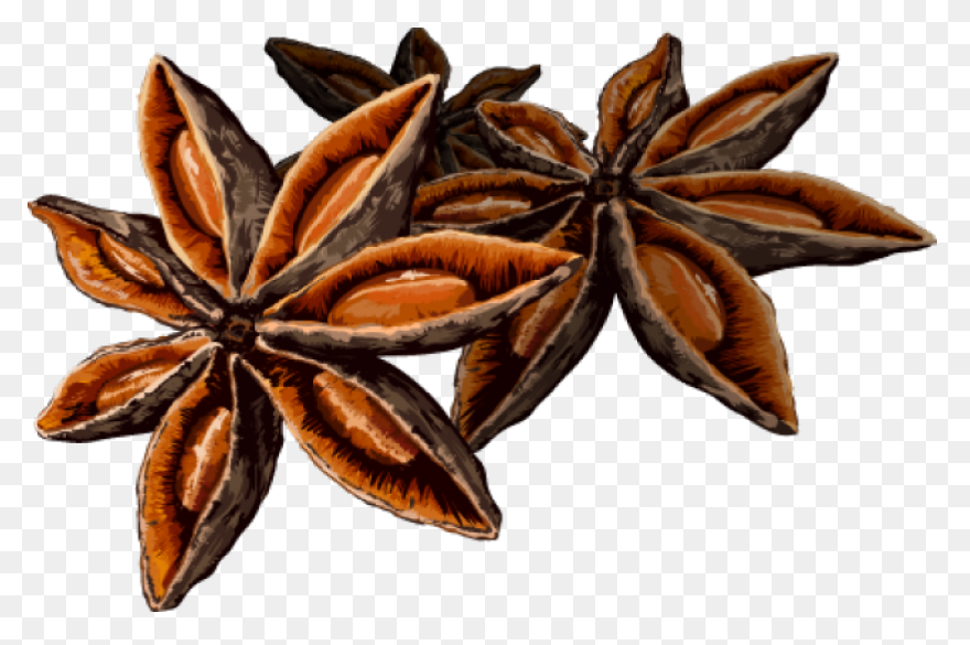 Solstice Spices Clipart - Full Size