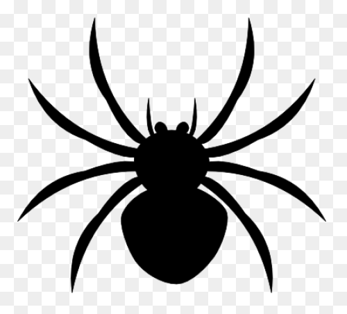 Brown Spider Clipart By Johnny Auto
