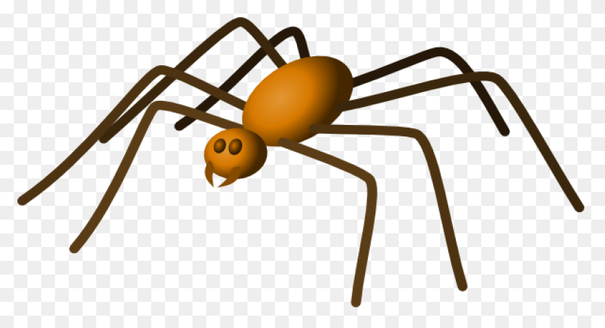 Brown Spider Clipart By Johnny Auto
