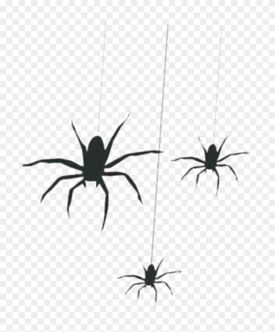 Brown Spider Clipart By Johnny Auto