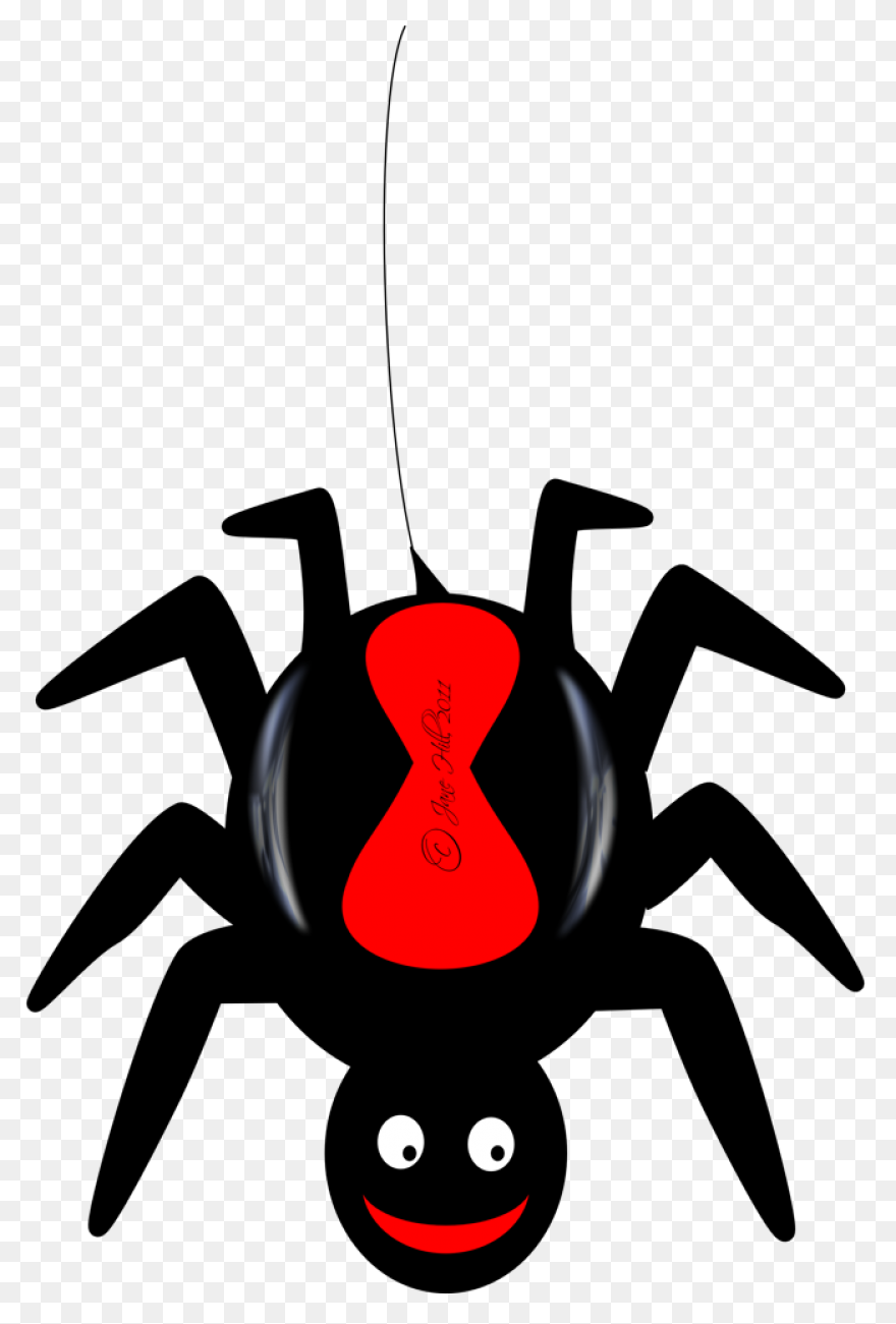 Brown Spider Clipart By Johnny Auto