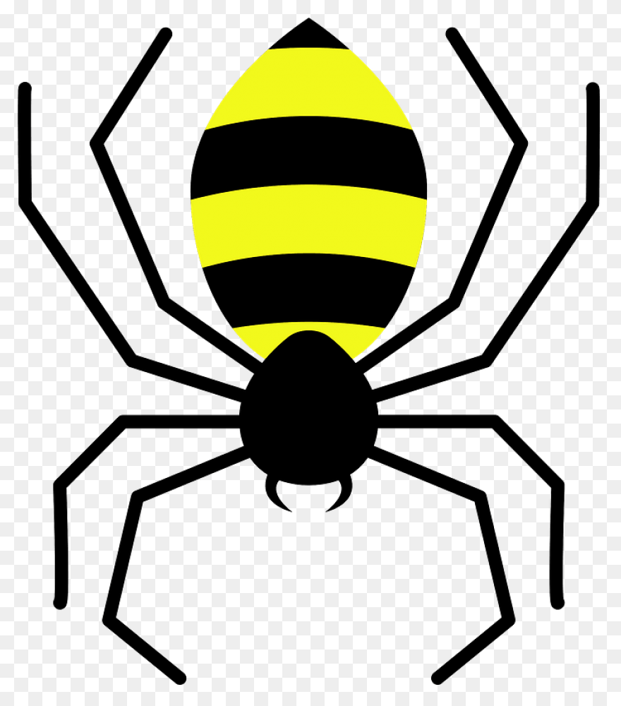 Brown Spider Clipart By Johnny Auto